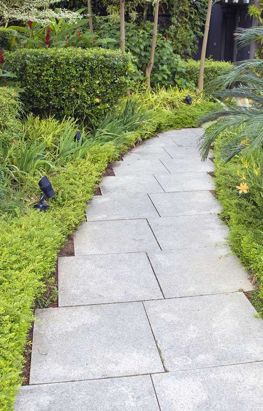 shutterstock_122505562 A picturesque stone pathway bordered by neatly trimmed greenery and vibrant plants, showcasing professional landscape design services in Etowah, NC.