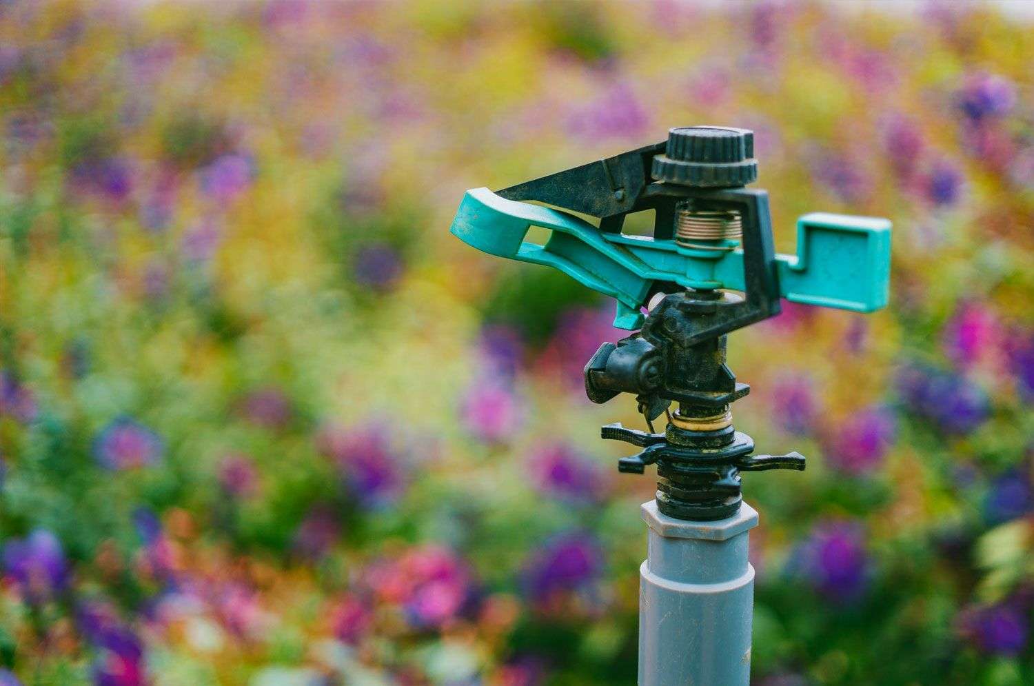 Lawn Sprinklers Lawn sprinkler in focus with colorful flower garden backdrop, representing efficient yard care and landscaping services by Laughter Family Hardscapes.