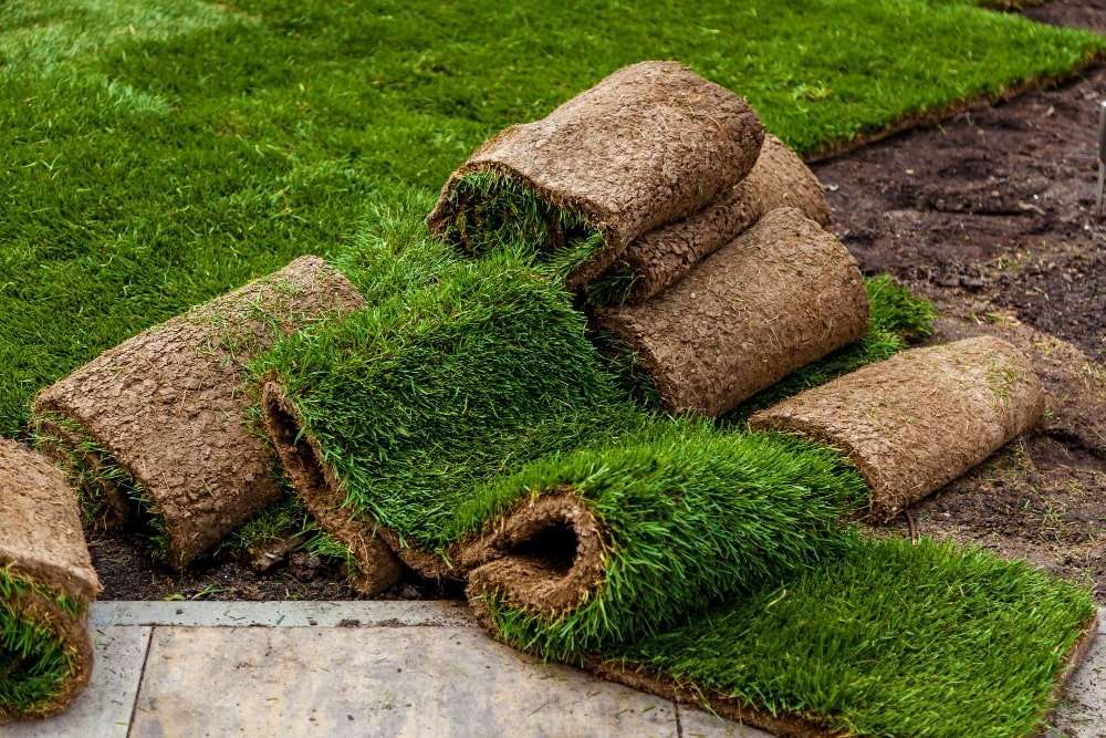 Fresh rolls of sod prepared for installation as part of hardscaping services in Etowah, NC, showcasing expert landscaping techniques to create lush, green outdoor spaces.