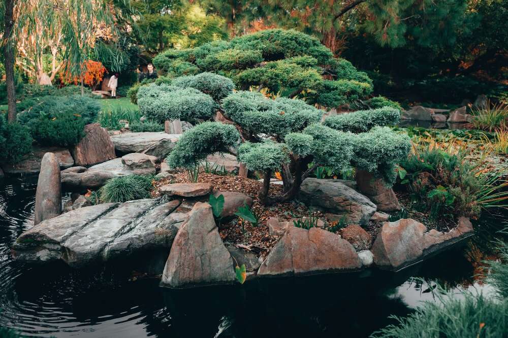 Hardscaping